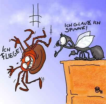 Comic_Tiere_tisu-fliege-spinne.jpg