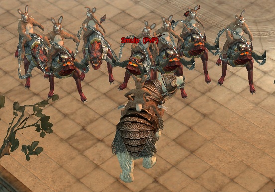 meine bunnys.jpg