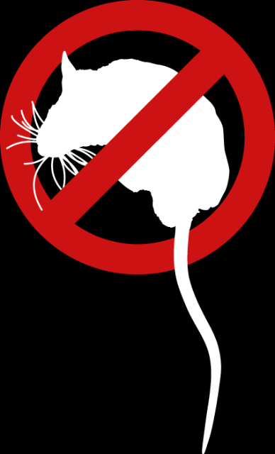 OPUE_Facebook_keineRatte (1).png